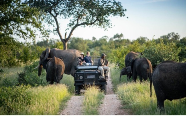 Travel destinations for tourists in Africa. Victoria Falls, Kruger National Park, Zanzibar Island, Madagascar, Fon's Place in Cameroon