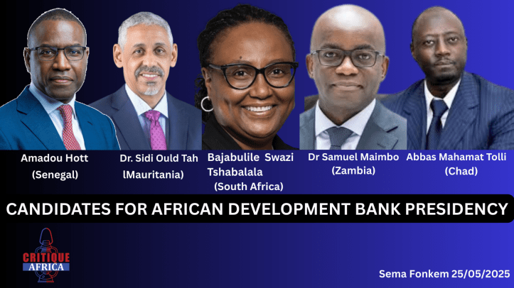 African Development Bank (AFDB) 
Dr Sidi Ould Tah