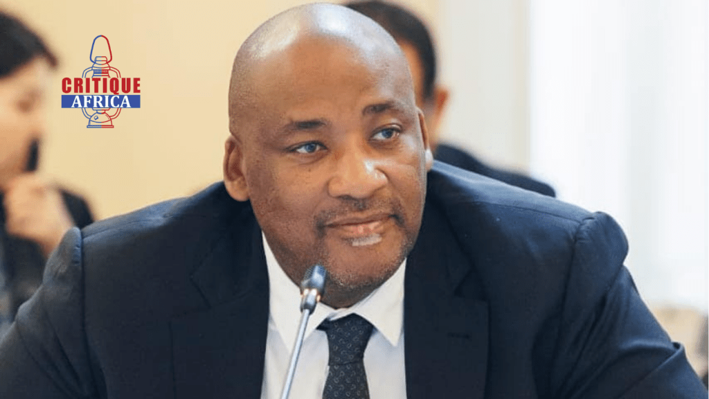 Gayton McKenzie, South Africa's Culture minister admits use of racial slurs