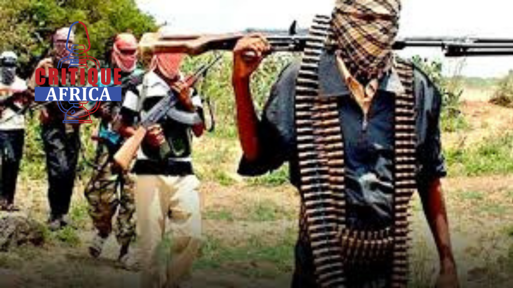 Boko Haram kill 60 people in Borno state, Nigeria