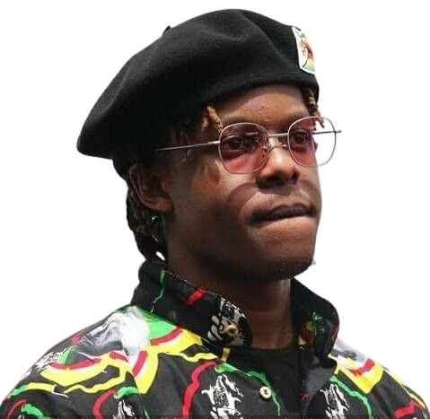 Robert Mugabe Junior arrested in Zimbabwe