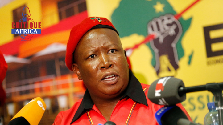 Malema returns to court for pre-sentencing in firearm case